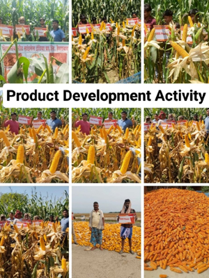 Product Development Activity